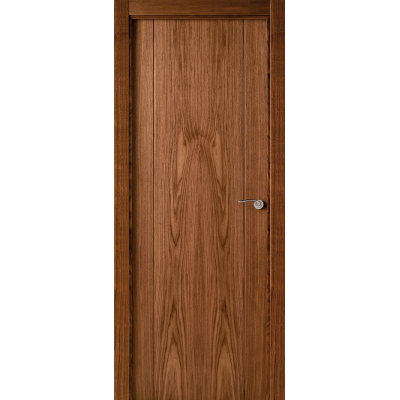 Puerta LISAv-PV2 chapa...