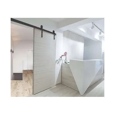 Puerta Corredera Lisa...