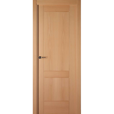 Puerta LISA Nº2 chapa...